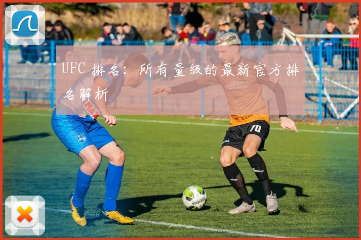 UFC 排名：所有量级的最新官方排名解析