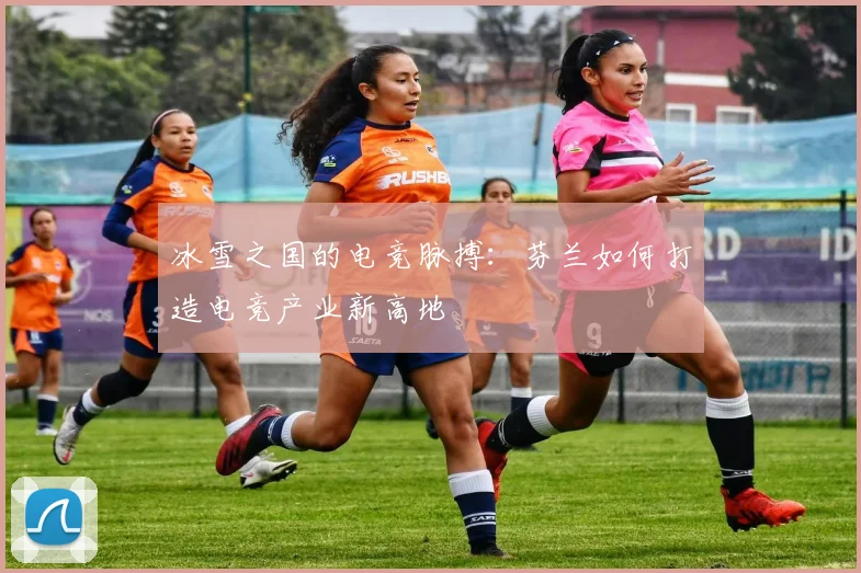 冰雪之国的电竞脉搏：芬兰如何打造电竞产业新高地