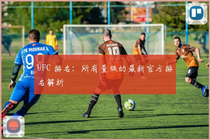 UFC 排名:所有量级的最新官方排名解析