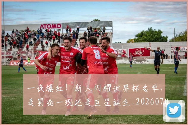 一夜爆红！新人闪耀世界杯名单，是昙花一现还是巨星诞生_20260702173603